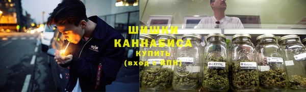 гидра Богородицк