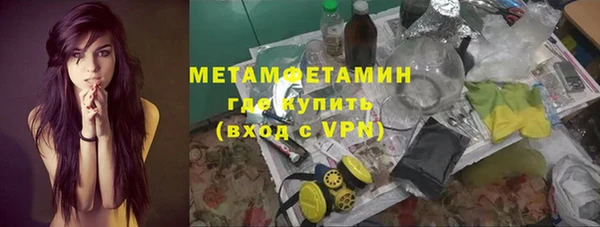 гидра Богородицк