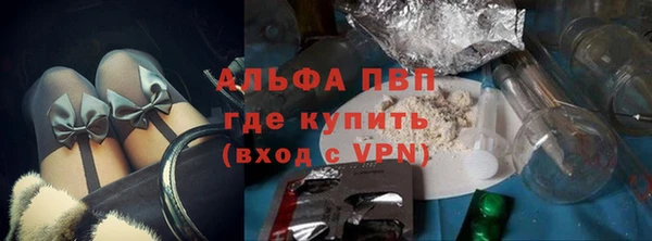 гидра Богородицк