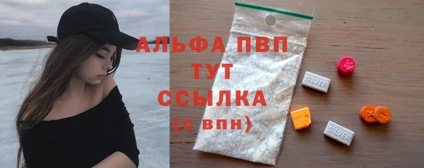 гидра Богородицк