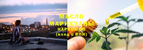 гидра Богородицк