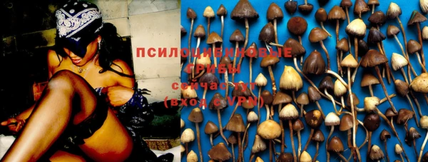 экстази Богородск