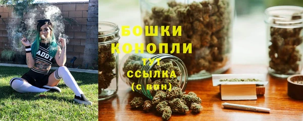 гидра Богородицк