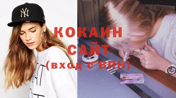 гидра Богородицк