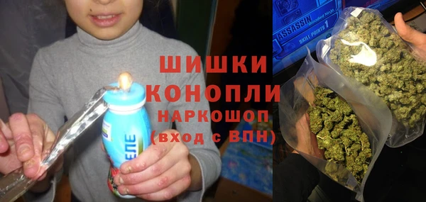 гидра Богородицк