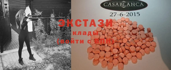 гидра Богородицк